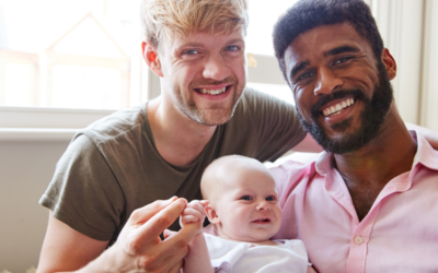  Your Rights in Civil Unions and Domestic Partnerships